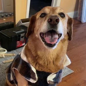 Meet your Posher, Mary